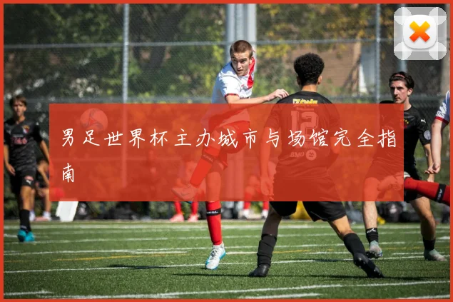 男足世界杯主办城市与场馆完全指南