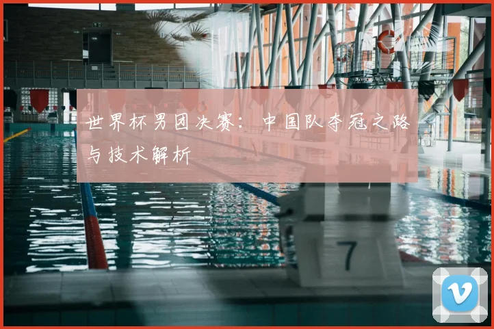 世界杯男团决赛:中国队夺冠之路与技术解析