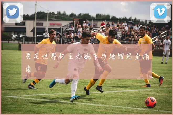 男足世界杯主办城市与场馆完全指南